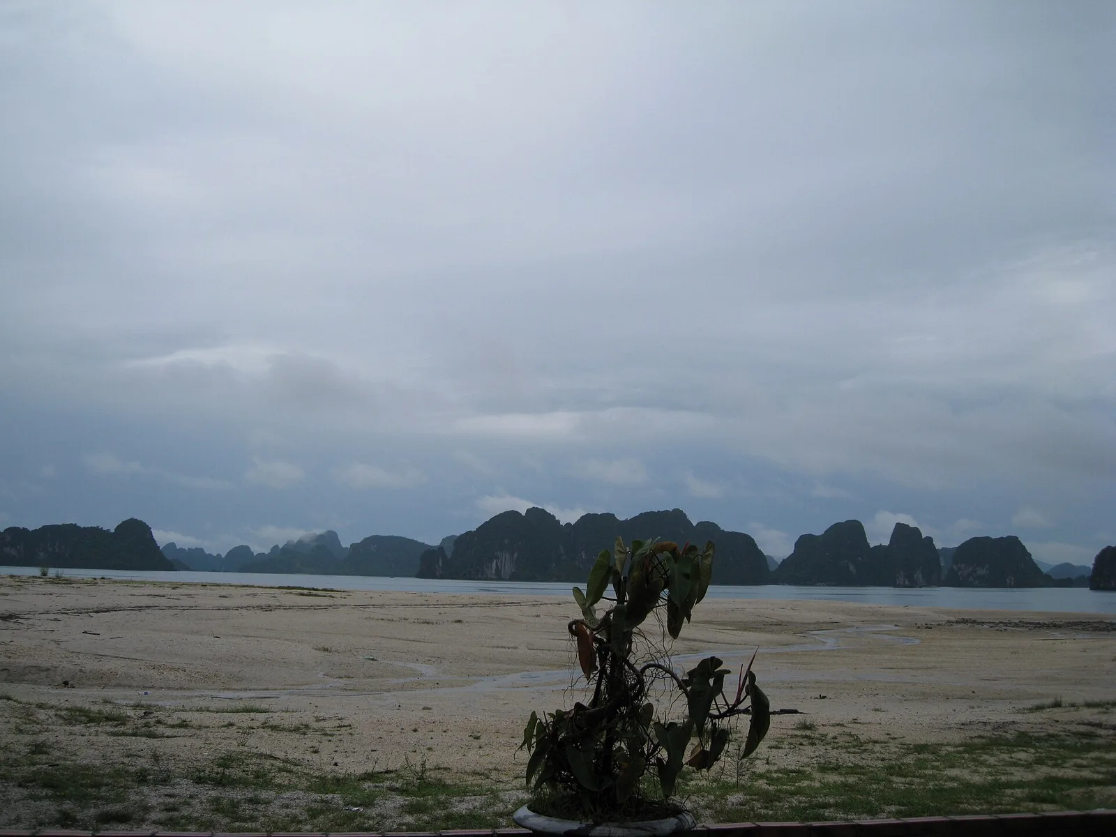 Quảng Ninh · năm ngày nhiều sắc thái · Nguồn ảnh và giấy phép